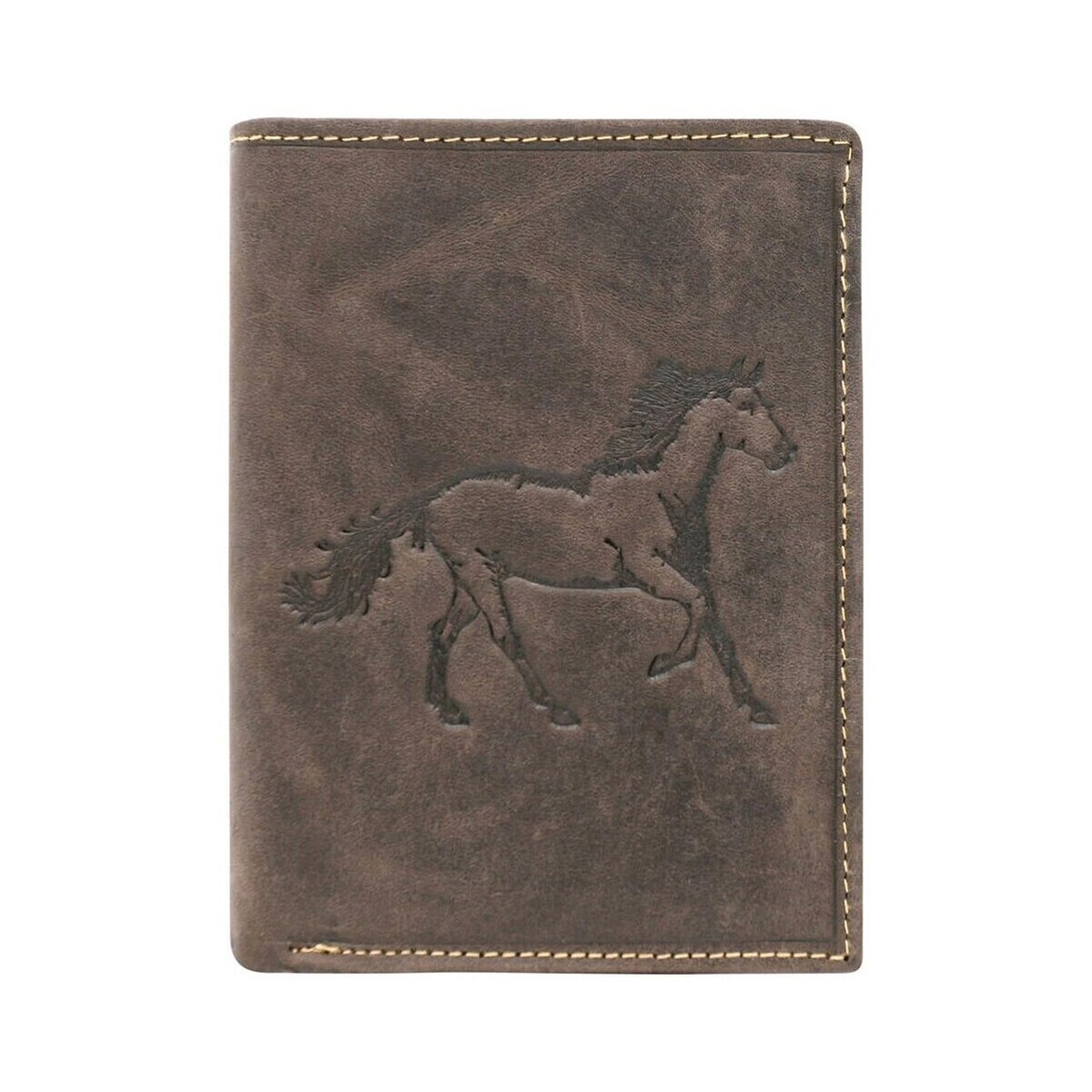 Always Wild  N4CHMHORSE  ruznobarevne