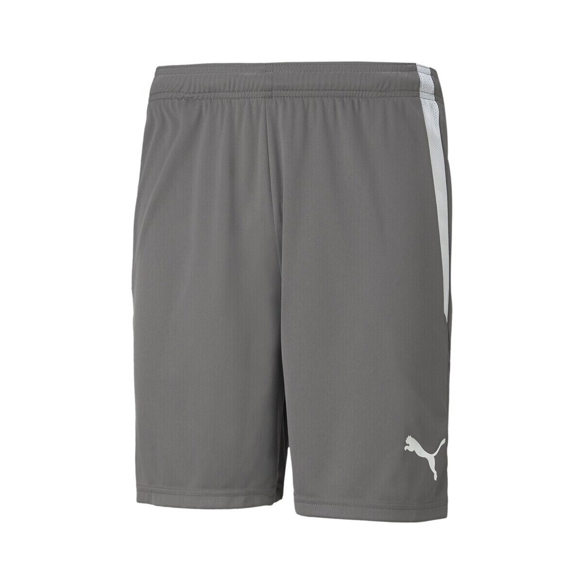 Puma  Teamliga  Šedá