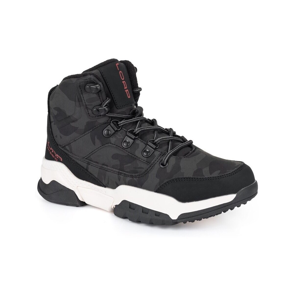 Loap  Hodge  Černá