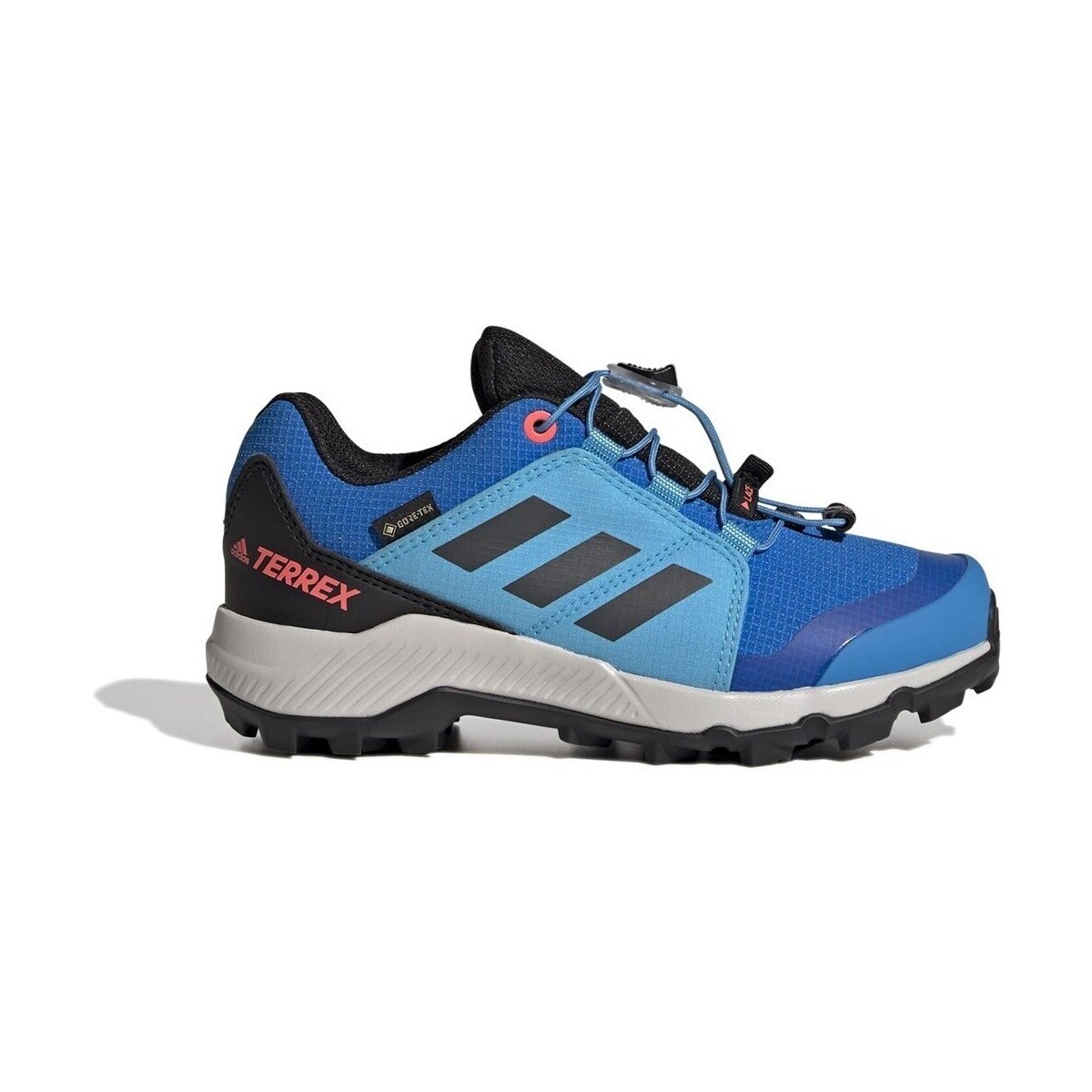 adidas  Terrex Gtx  Modrá