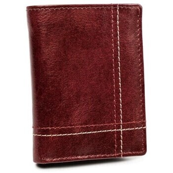 Always Wild  N9001VTKDWINE  ruznobarevne