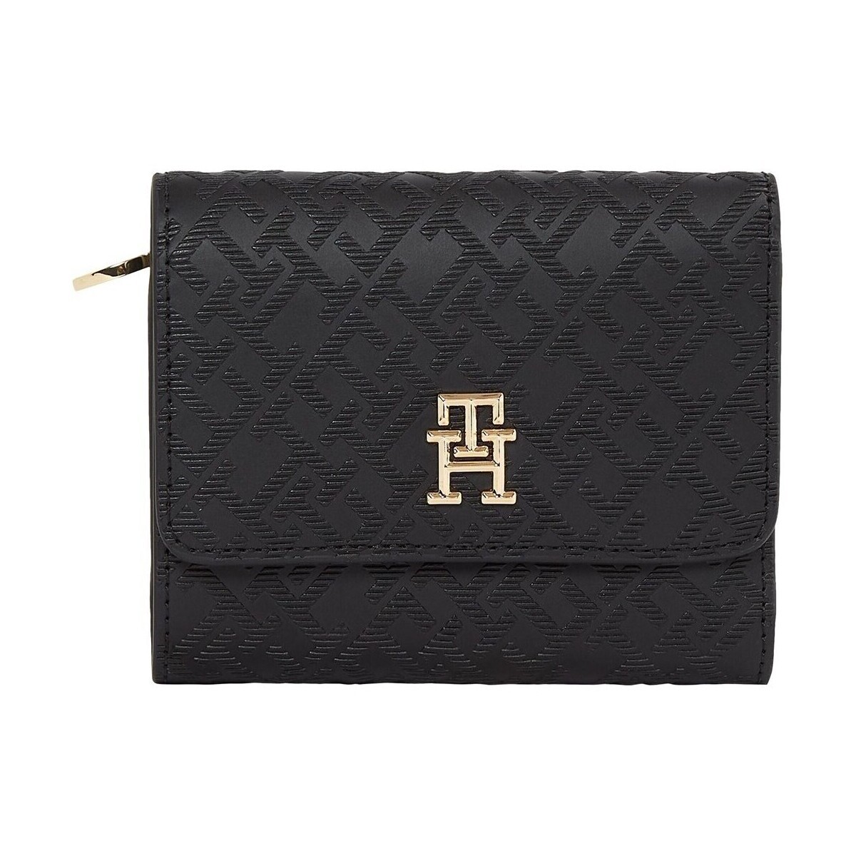 Tommy Hilfiger  AW0AW17257BDS  ruznobarevne