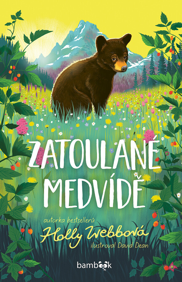 E-kniha: Zatoulané medvídě od Webbová Holly