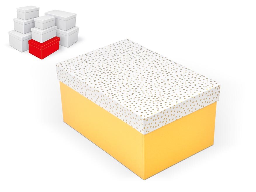 MFP 5371336 Krabice dárková B-C012-E 24x16x12cm