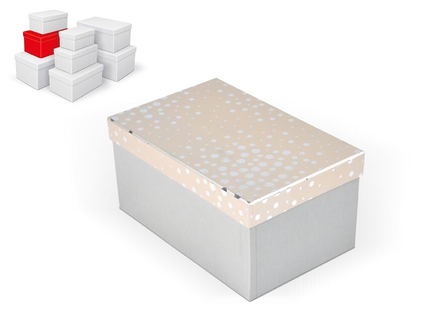 MFP 5371335 Krabice dárková B-C012-D 22x14x11cm