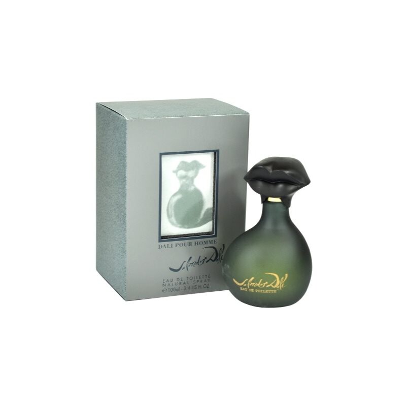 Salvador Dali Pour Homme toaletní voda pro muže 100 ml