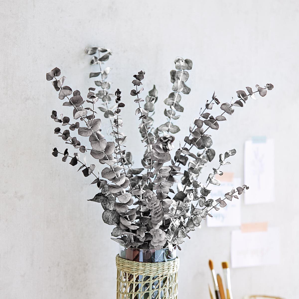 Weltbild Sušené větvičky Eukalyptu Silver dollar, stříbrné