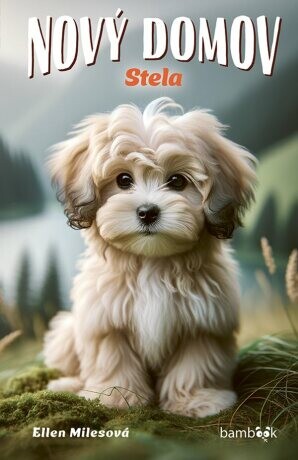 Nový domov – Stela - Ellen Milesová - e-kniha