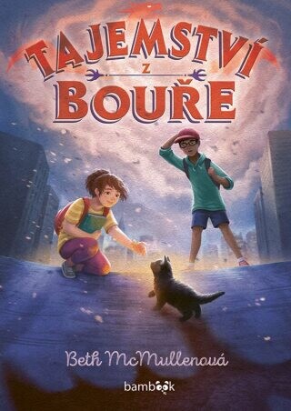 Tajemství z bouře - Beth McMullenová - e-kniha