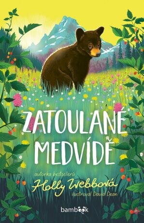 Zatoulané medvídě - Holly Webbová, Dean David - e-kniha