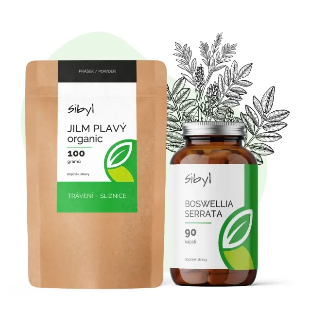 Balíček - leaky gut