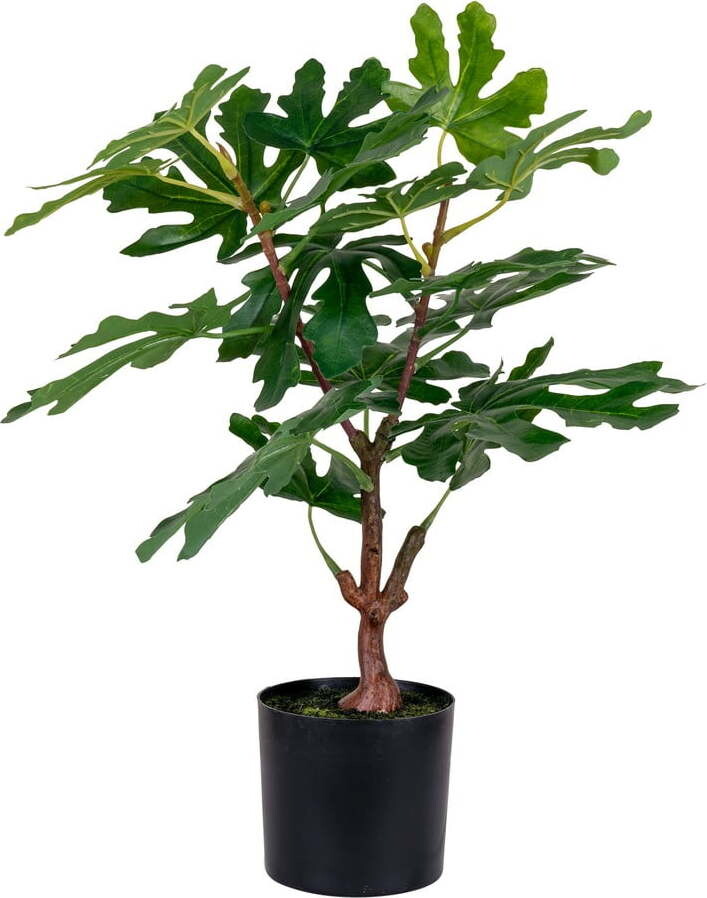 Umělá rostlina (výška 60 cm) Fig – House Nordic