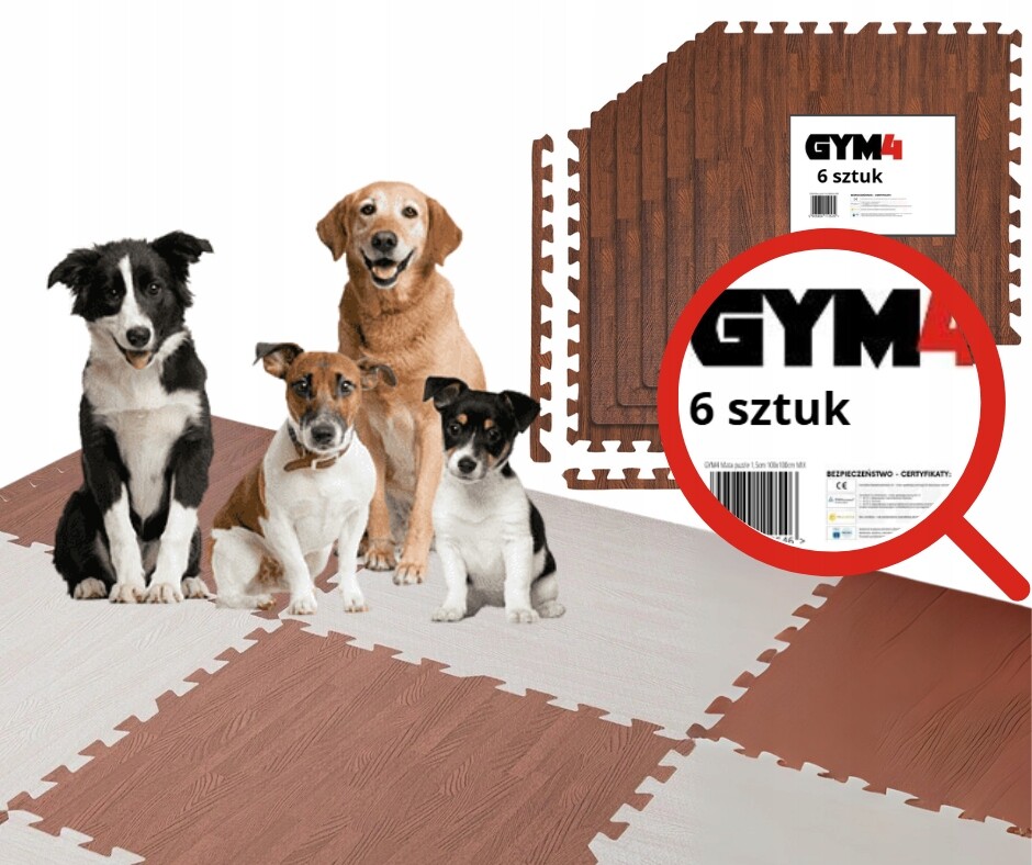 GYM4 Podložka pro psa na učení puzzle ochrana 4 barvy 6 kusů