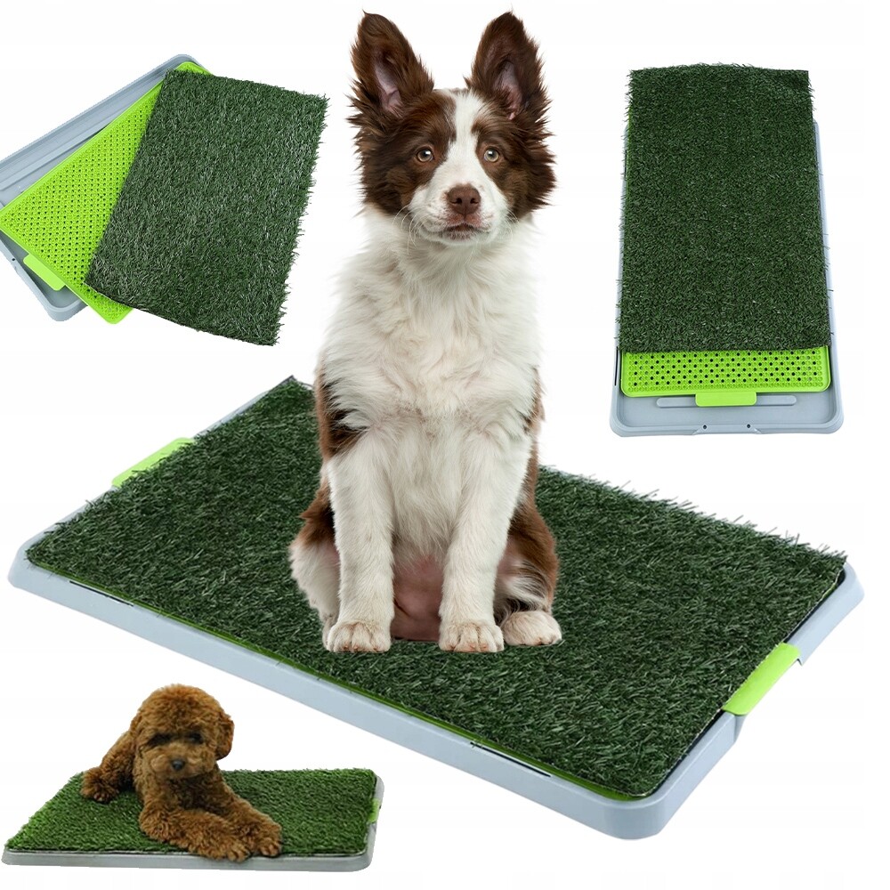 Záchod Pro Psa A Kočku S Umělou Trávou Pro Trénink Používání Toalety