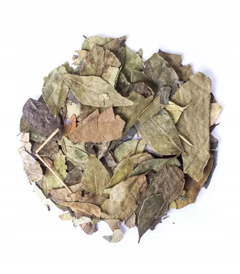 Kari list řezaný 5 kg koenigii v listech řezané listy