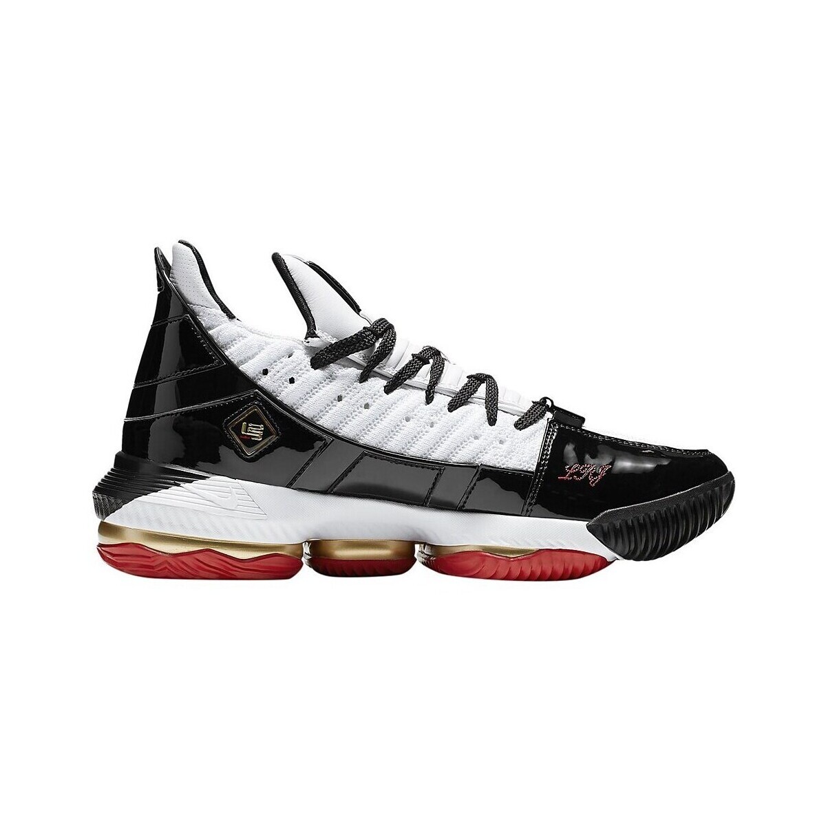 Nike  Lebron Xvi SB  ruznobarevne