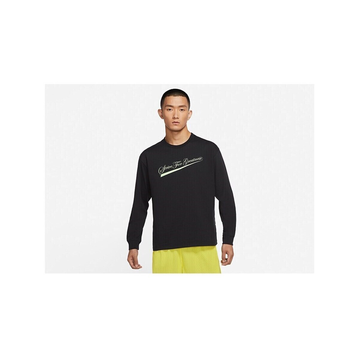 Nike  Lebron James Lion Max90  Černá