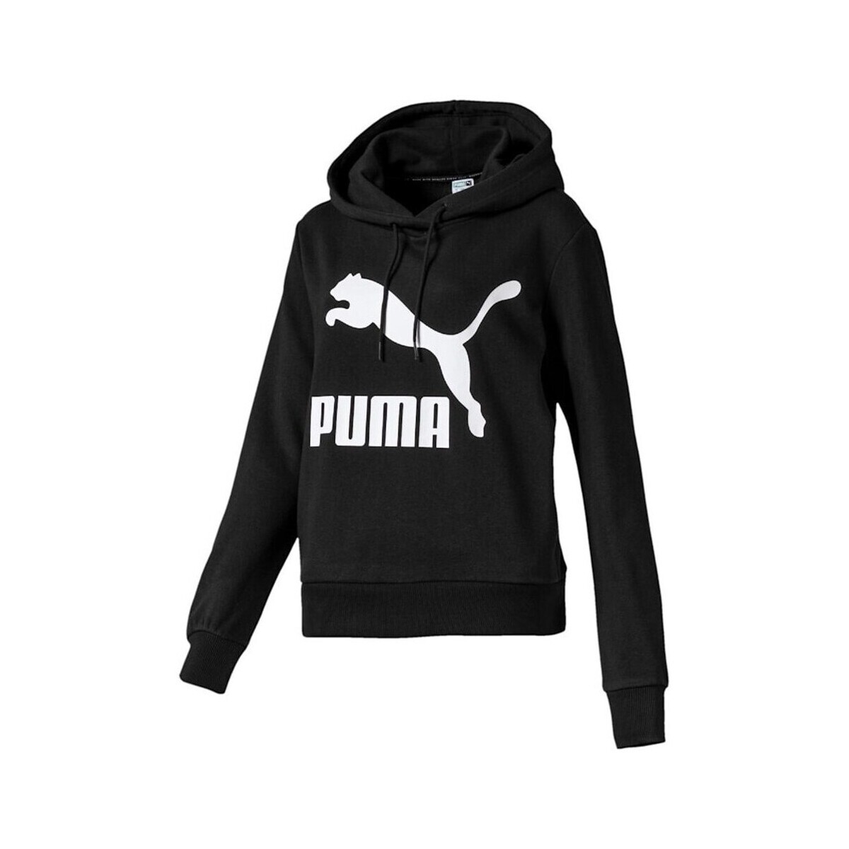 Puma  Classics Logo Hoody  ruznobarevne