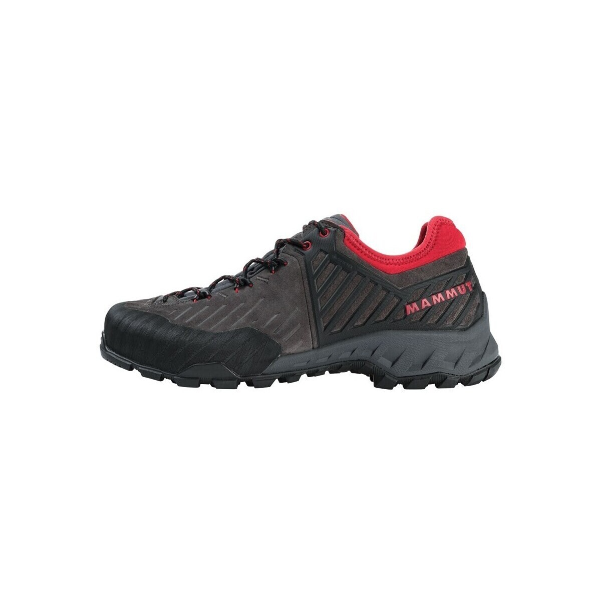 Mammut  Alnasca Ii Low Gtx  Šedá