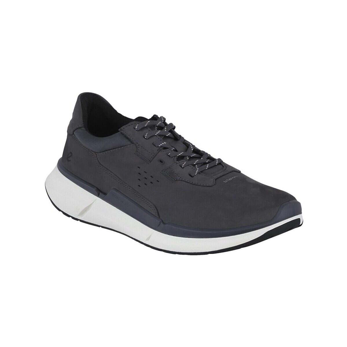 Ecco  Biom 2.2 Low  ruznobarevne