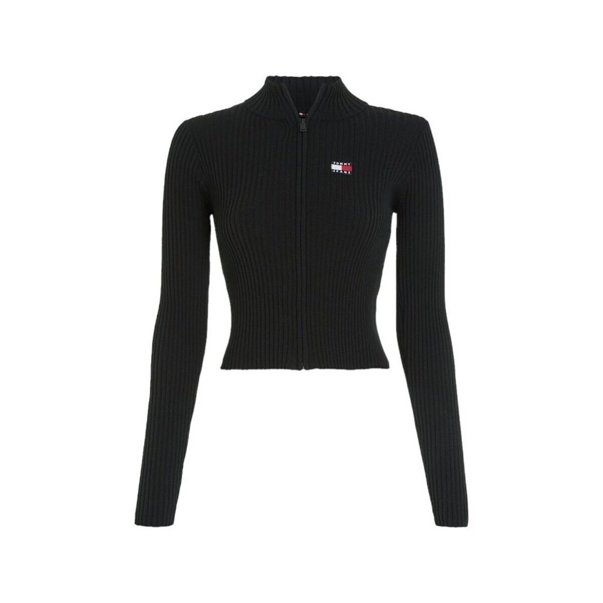 Tommy Hilfiger  DW0DW17243BDS  Černá