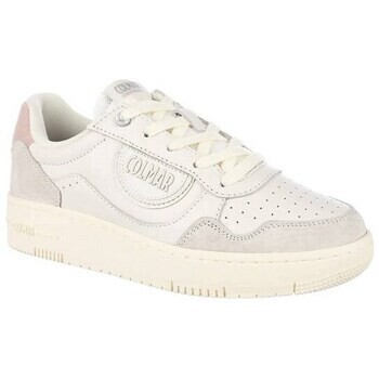 Colmar  Austin Look  ruznobarevne