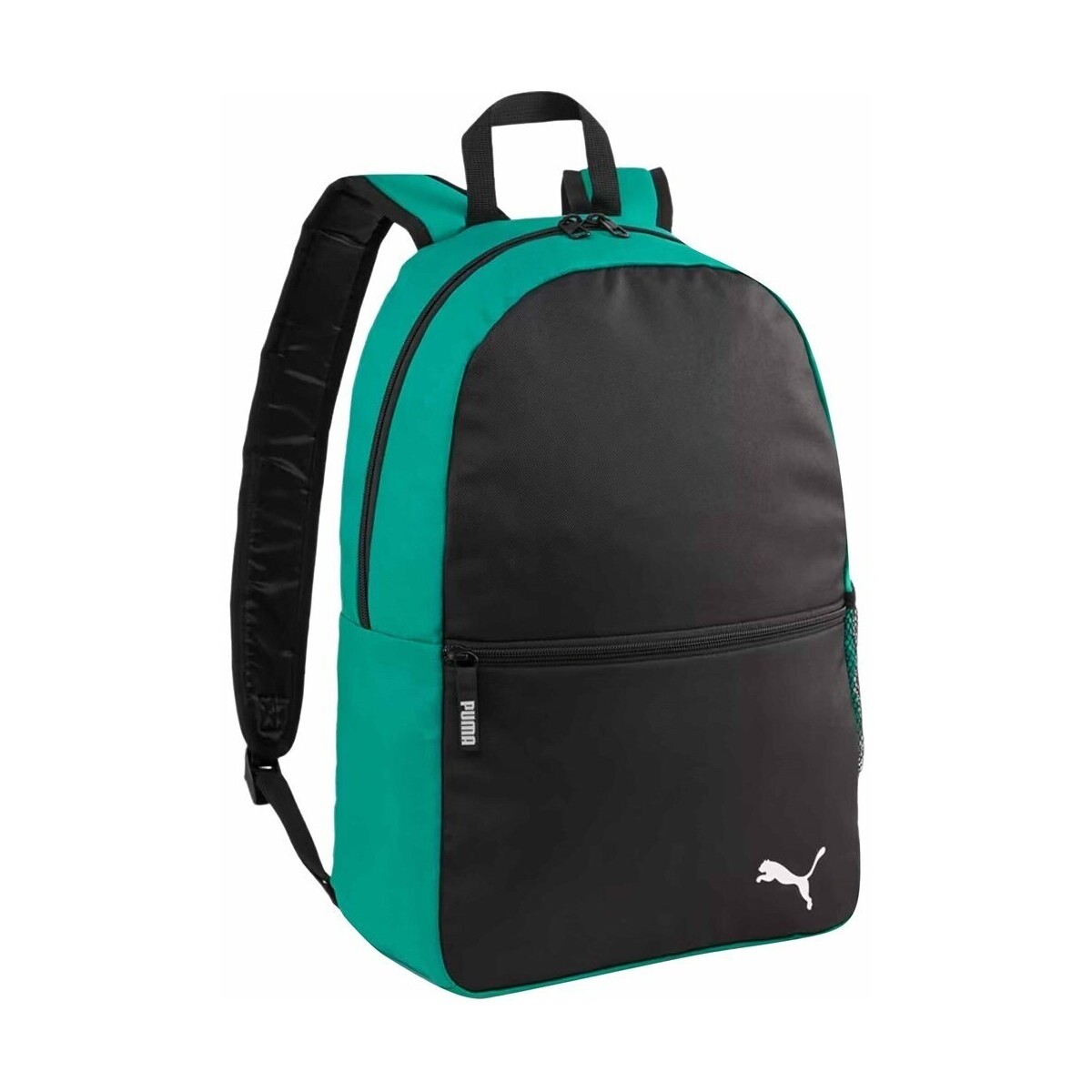 Puma  Teamgoal  ruznobarevne