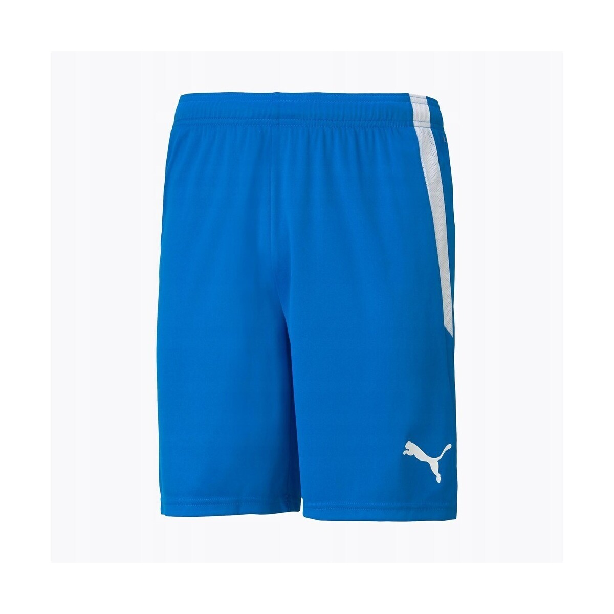 Puma  Spodenki Męskie Teamliga Niebieskie  Modrá