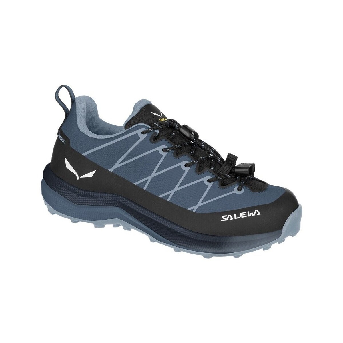 Salewa  Wildfire 2 Ptx  Modrá