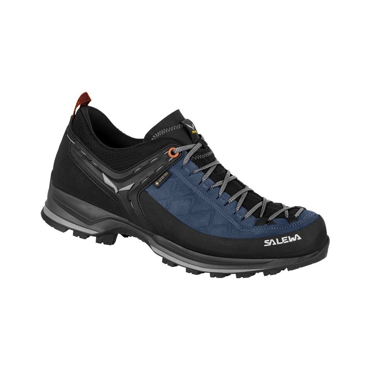Salewa  Mtn Trainer 2 Gtx  ruznobarevne