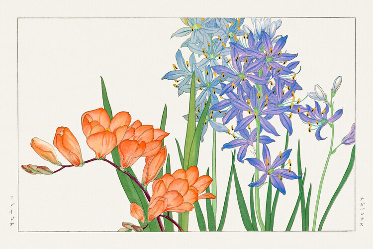 Tanigami Kônan Obrazová reprodukce Freesia Flowers, Tanigami Kônan, 40 × 26.7 cm