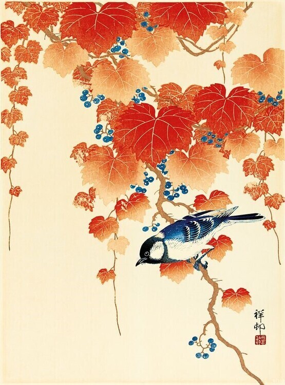 CLOSE UP Umělecký tisk Bird and Red, Ohara Koson, 30 × 40 cm