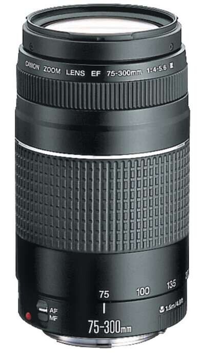 Canon EF 75-300 mm f/4-5,6 DC III