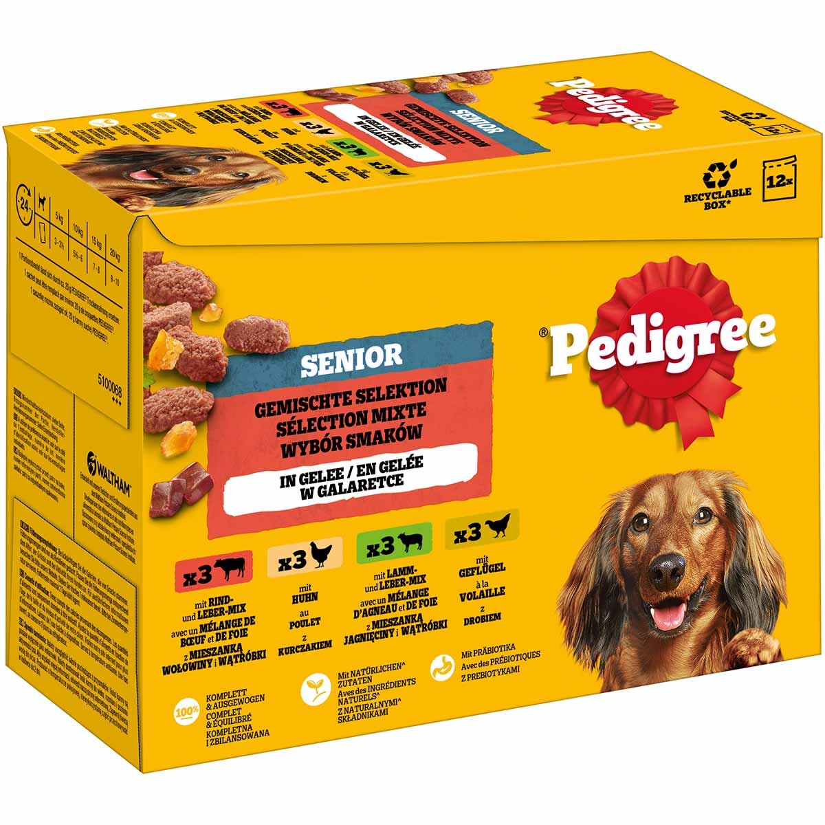 Pedigree Senior Multipack kapsičky - Výhodné balení: Výběr v želé (4 druhy) 24 x 100 g