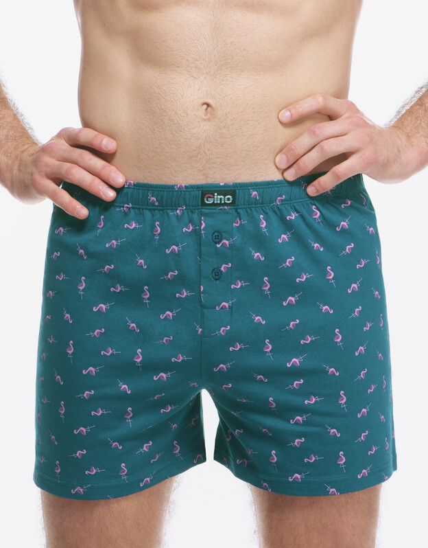 Pánské trenky Gino zelené (75217-DZMDFR) M, trenýrky