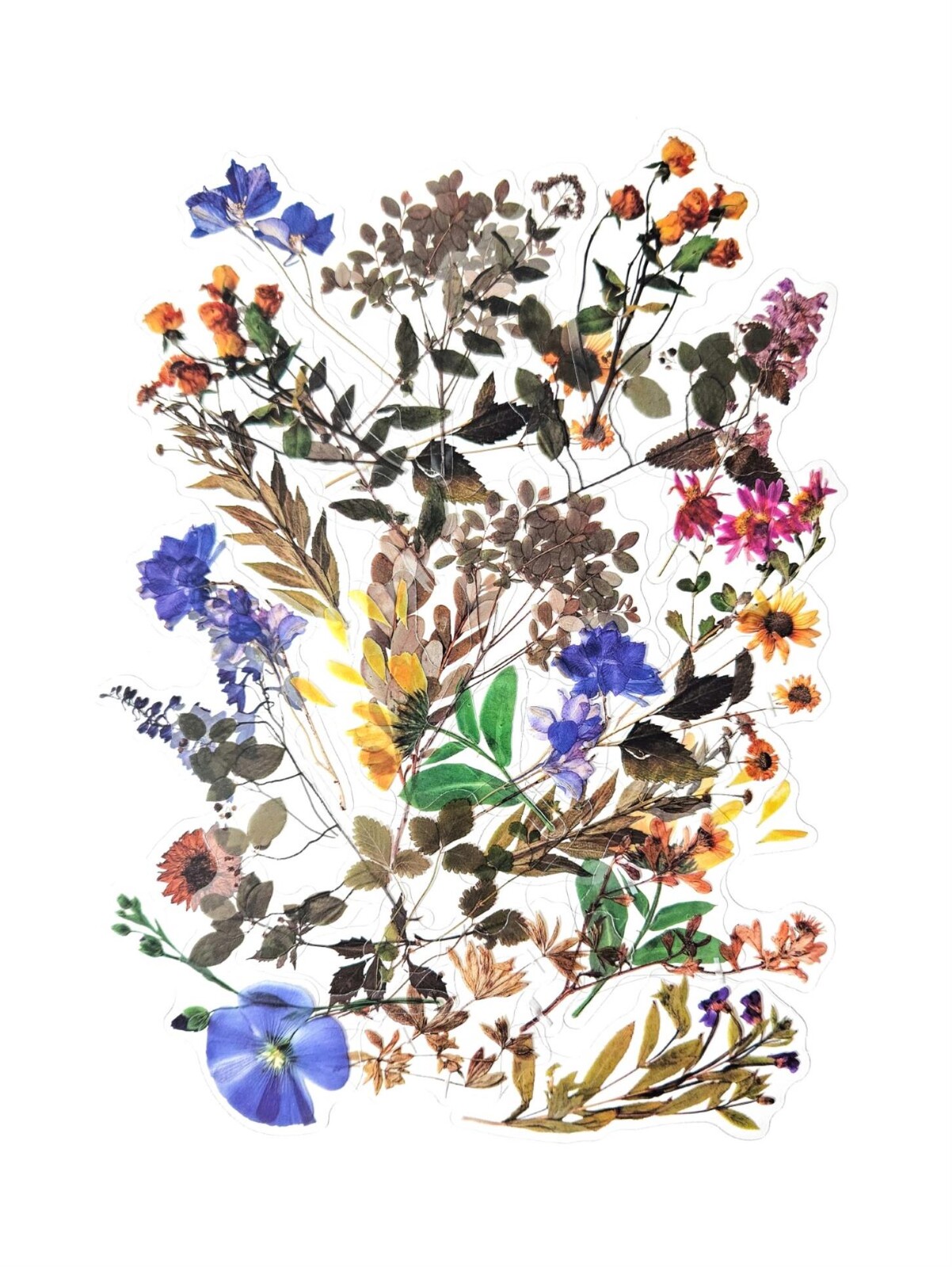 Galeria Papieru Dekorativní samolepky fóliové - luční kvítí, 40 ks