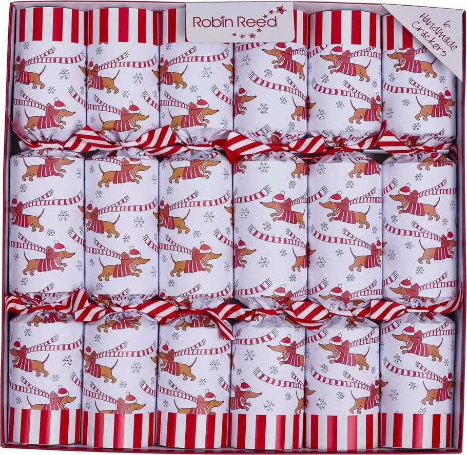 Vánoční crackery v sadě 6 ks Racing Sausage Dog – Robin Reed