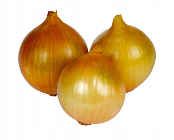 Cibule kalibr od 70 mm 10 kg