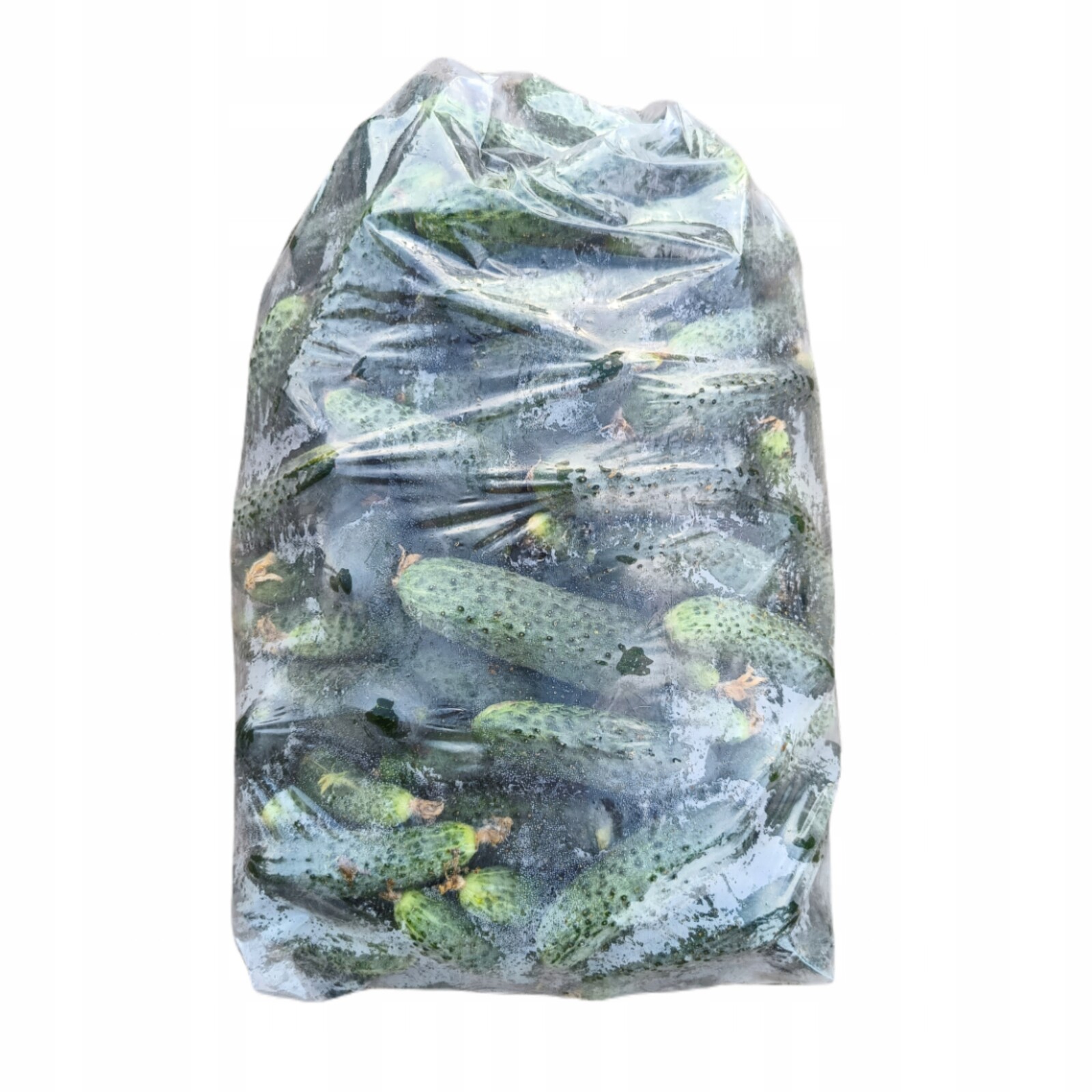 Čerstvé okurky 10 kg k nakládání