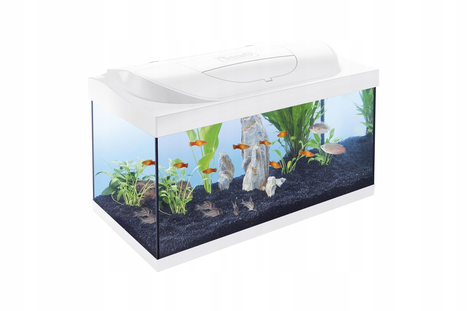 Tetra Starter Line Akvárium 54 L bílá, 61×36×32 cm, Led, filtr, ohřívač