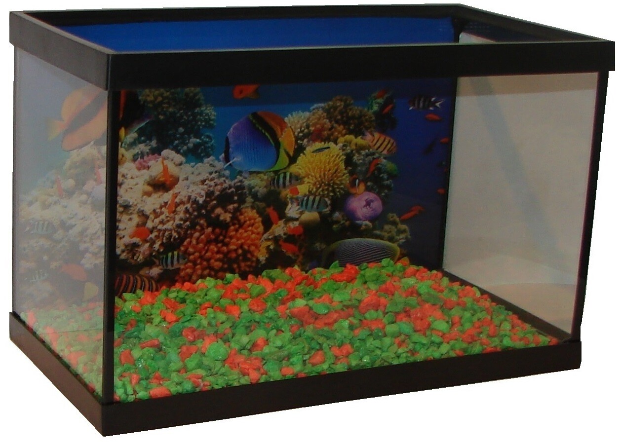 Akvárium 9 L S Dekorací 30x15x20 zatavená tapeta