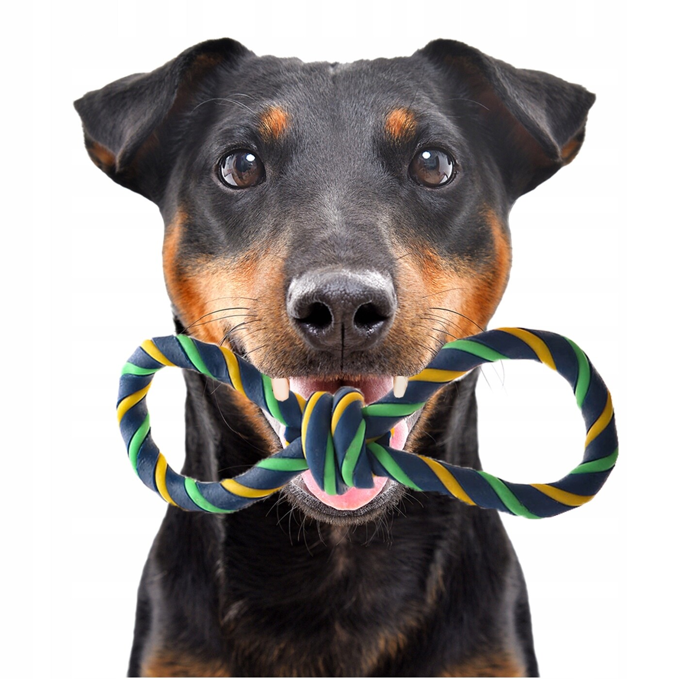 Hračka Pro Psy Gumové Latexové Kousátko Pro Aportování, Plovoucí