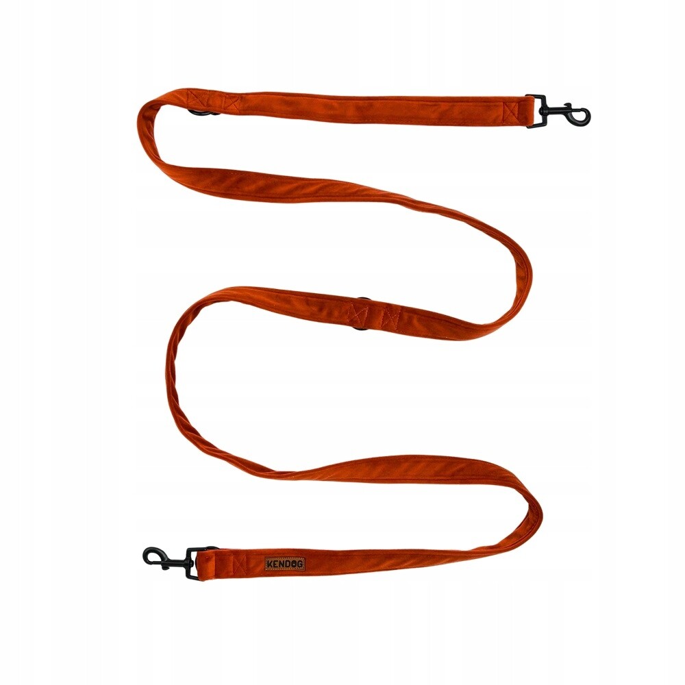 KenDog Vodítko přepínací Ginger 2/200 cm