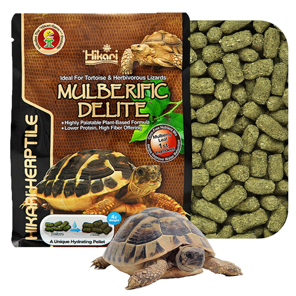 Hikari Mulberific Delite Krmivo pro suchozemské želvy 1000 g 1 kg