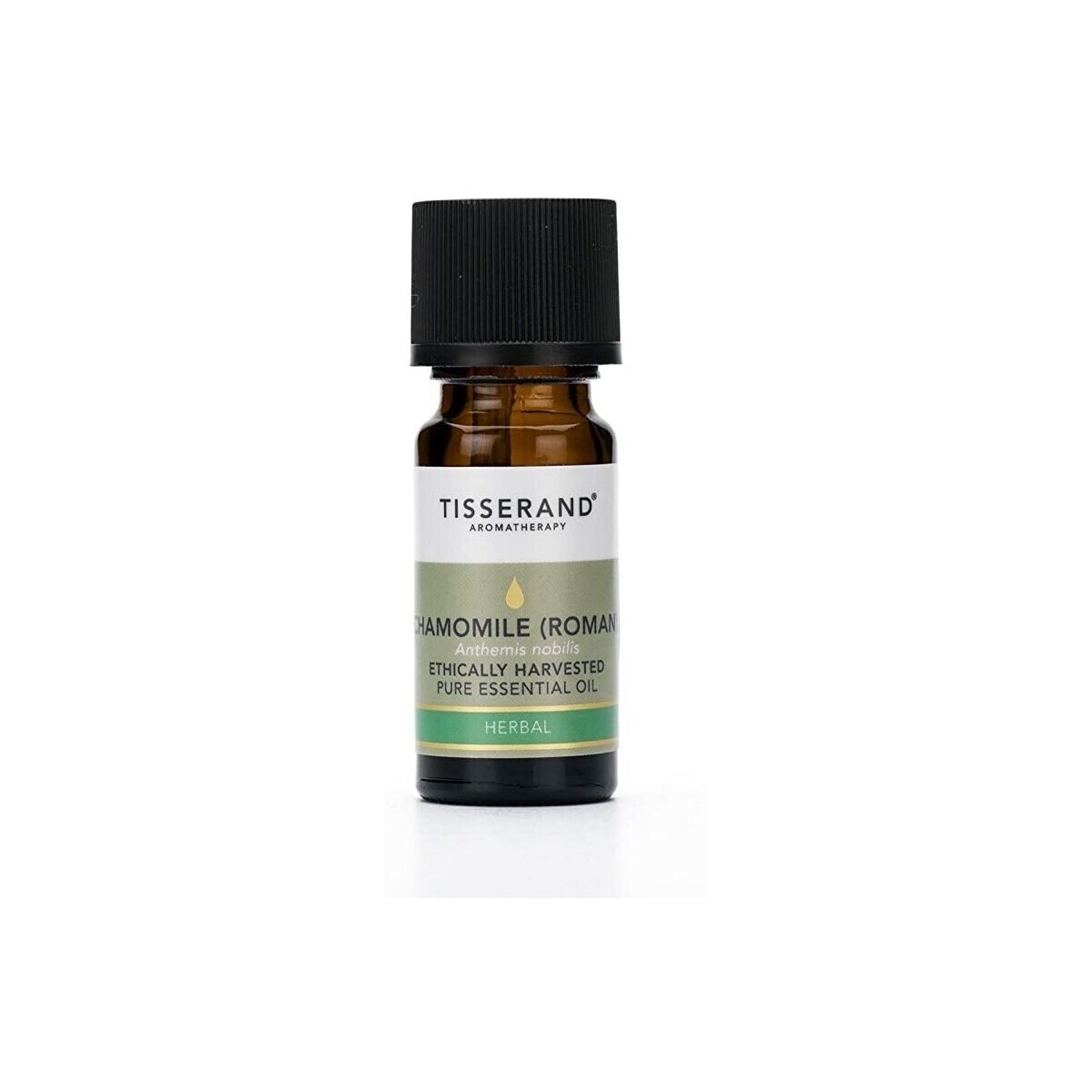 Tisserand Aromatherapy  Chamomile Roman Ethically Harvested  ruznobarevne