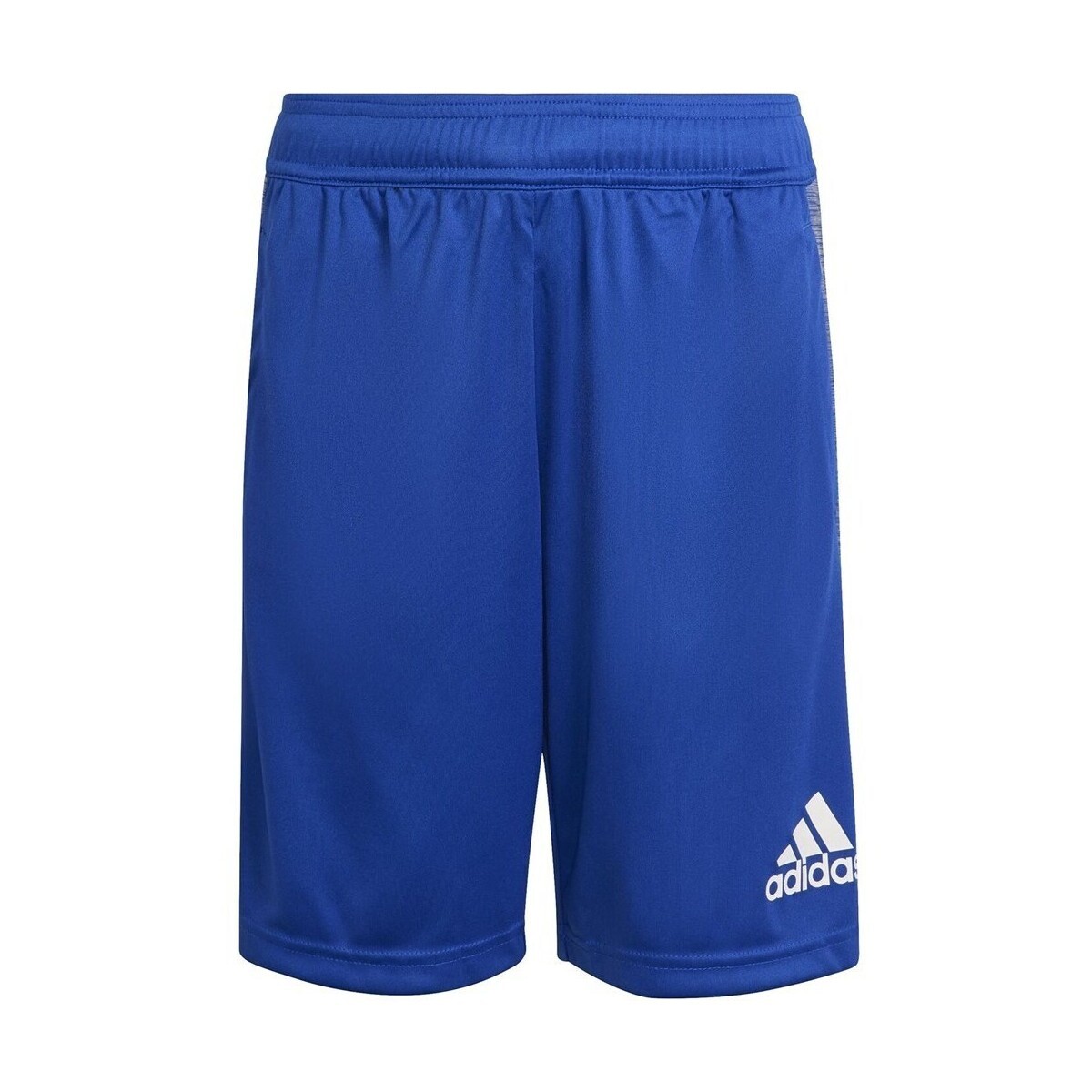 adidas  Heather  Modrá