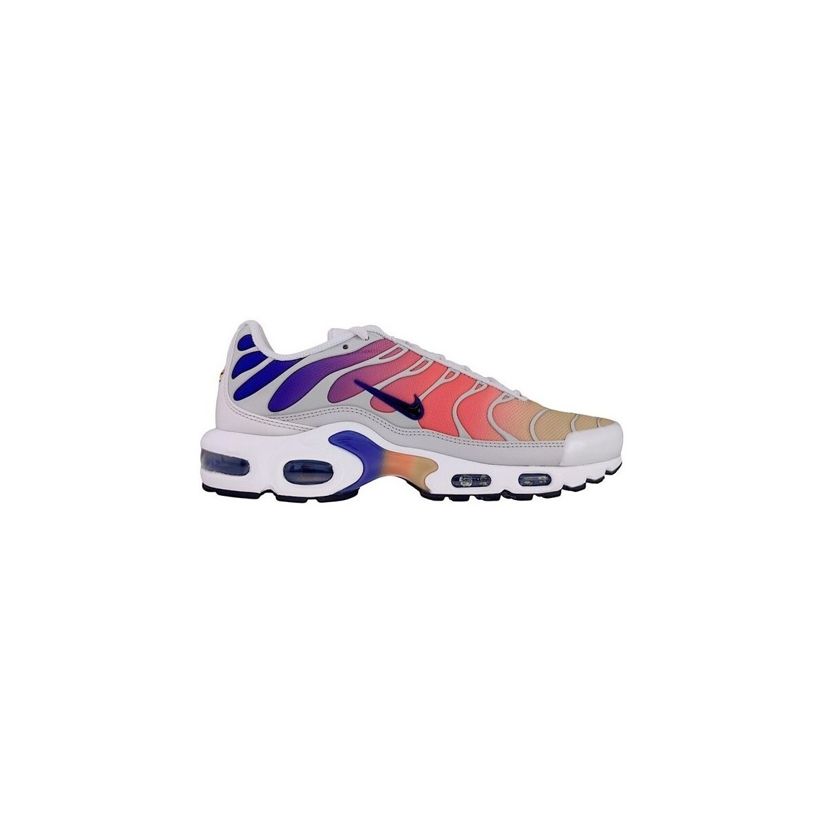 Nike  Air Max Plus Tn Platinum  ruznobarevne