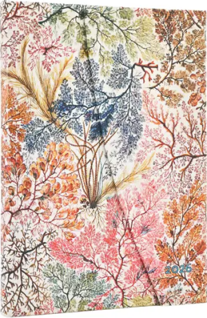 Diář Paperblanks 2026, Anemone - 12M, Midi, horizontální