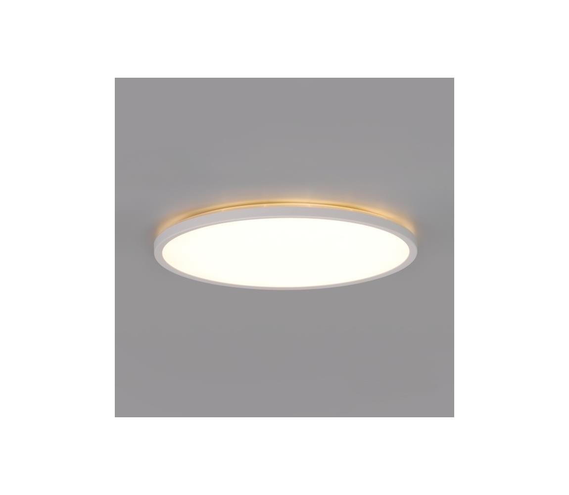 LED Koupelnové stropní svítidlo NIVERA LED/12W/230V IP54 pr. 22,5 cm bílá