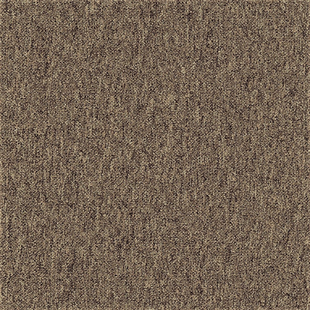 AKCE: 50x50 cm Kobercový čtverec Coral 58309 Bitumen hnědý 50 x 50 cm, chodba / předsíň, Tapibel